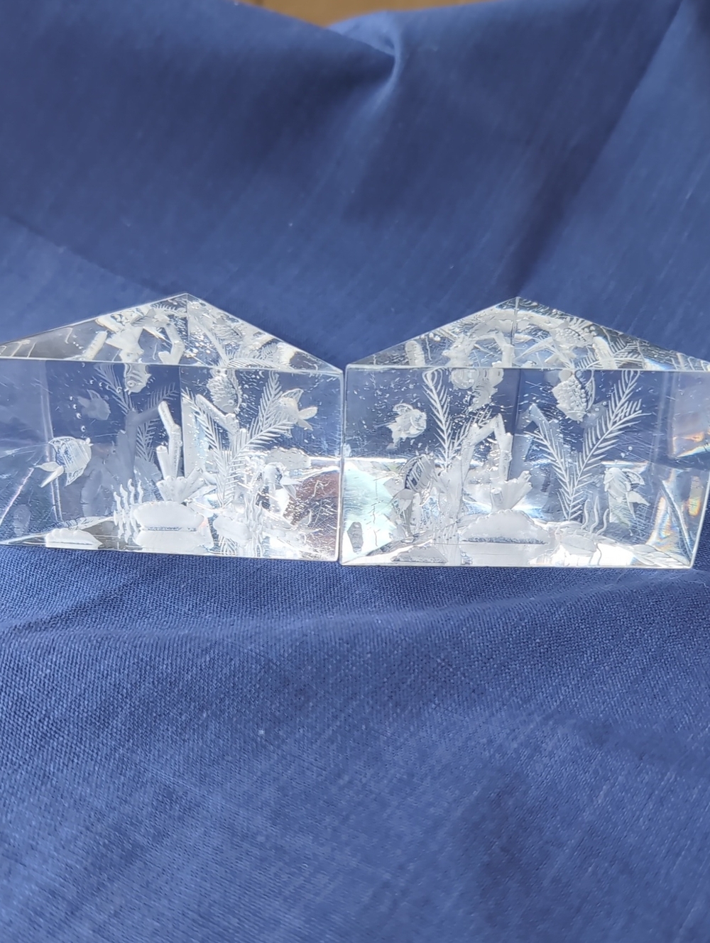 Vintage Reverse Etched Sealife Acrylic Paperweight Set